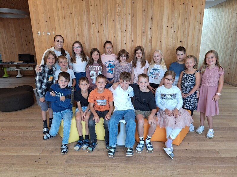 3b